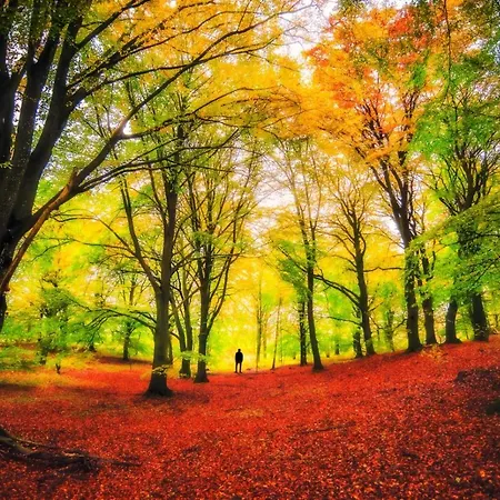 Borgo Del Fornello San Benedetto Val di Sambro