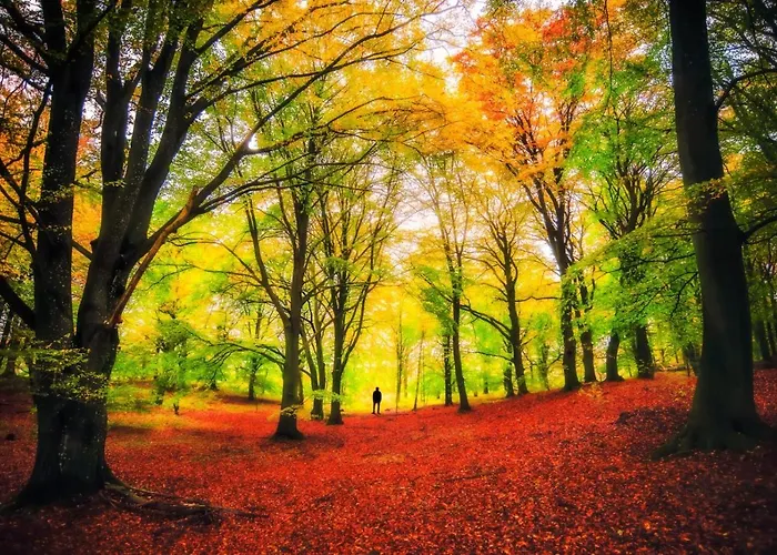 Borgo Del Fornello San Benedetto Val di Sambro